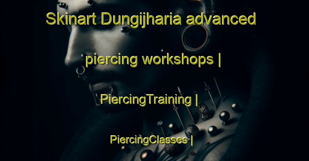 Skinart Dungijharia advanced piercing workshops | PiercingTraining | PiercingClasses | SkinartTraining-India